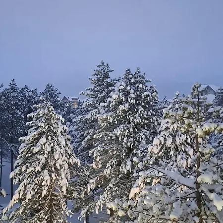 Tria 2 Apartment Zlatibor