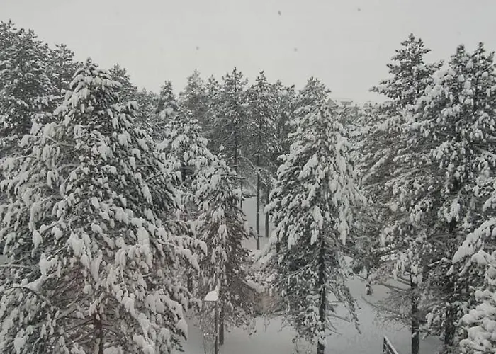 アパート Tria 2 *